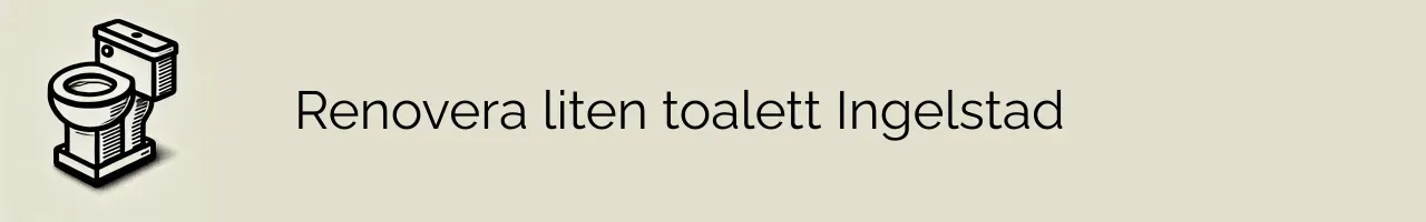 Renovera liten toalett Ingelstad